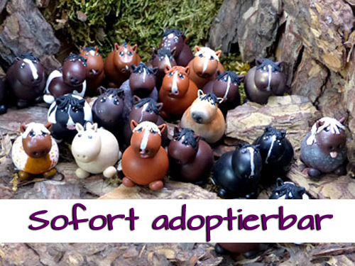 Kugelpferdchen sofort adoptierbar Kugelpferdchen sofort adoptierbar