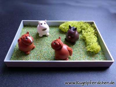Preview: 4 Kugelpferdchen in XL-Weidebox Preview: XL