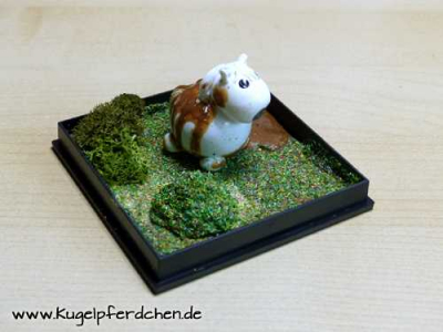 Preview: Kugelpferdchen im Schlammbad Preview: Szenario Kugelpferdchen mit Schlammkruste in Landschaftsbox