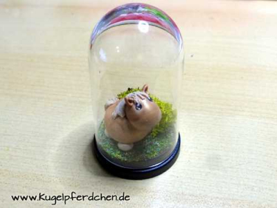 Preview: Kugelpferdchen Mini in Kuppel Preview: Kugelpferdchen Mini in Kuppel