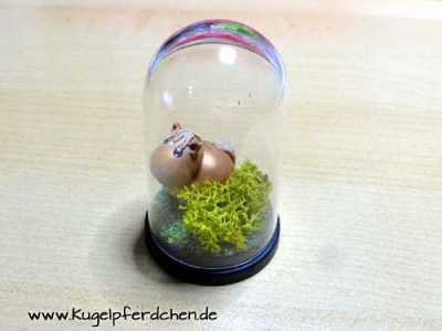 Preview: Kugelpferdchen Mini in Kuppel Preview: So könnte Dein Micro-Kugelpferdchen aussehen