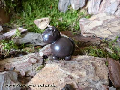 Preview: Kugelpferdchen Mini Preview: Mini - Kugelpferdchen
