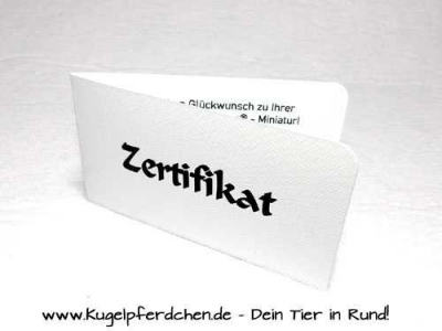 Preview: Kugelpferdchen Mini in Kuppel mit Name Preview: Kugelpferdchen - Zertifikat