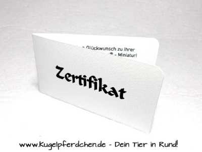 Preview: Kugelpferdchen® Hund Schlüsselanhänger mit Spezialversiegelung Preview: Kugelpferdchen Zertifikat