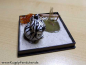 Preview: Kugelzebra in Dekobox