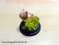 Preview: Micro - Kugelpferdchen