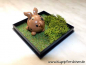 Preview: Kugelschwein