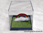 Preview: Beispiel für Regenbogen-Box mit Wolke