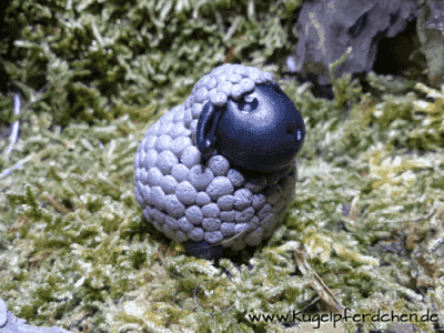 kugelpferdchen schwarzes schaf