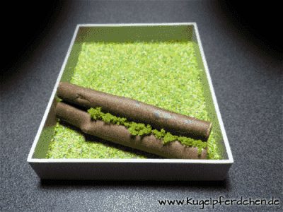 Natursprung-Box mitel mit Baumstamm