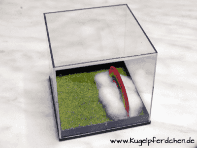 Beispiel für Regenbogen-Box mit Wolke