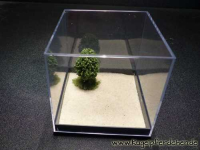 Sandplatz mit Baum - Box