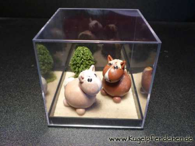 Beispiel für zwei Kugelpferdchen in der Sandplatz-mit-Baum-Box