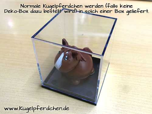 Kugelpferdchen Box - in dieser Box werden die Kugelpferdchen geliefert wenn keine Deko-Box dazu bestellt wird.