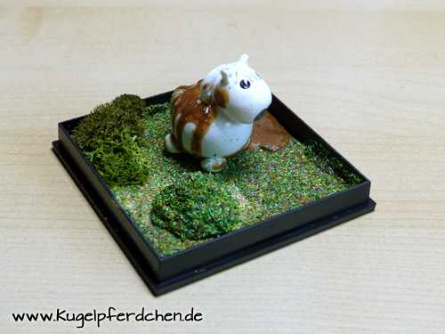 Szenario Kugelpferdchen mit Schlammkruste in Landschaftsbox