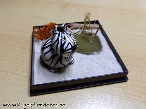 Kugelzebra in Dekobox