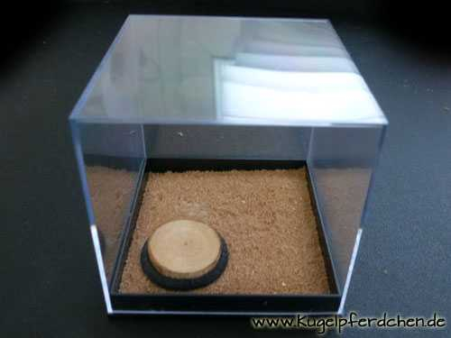 Bodenarbeits-Box 1 mit Podest auf Sand