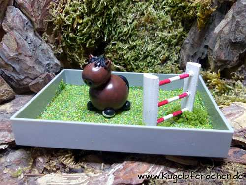 Natursprung-Box mitel mit Baumstamm