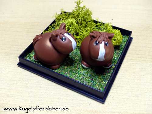 Szenario 2 Kugelpferdchen in Landschaftsbox