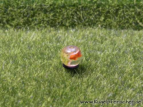 Goldfischglas