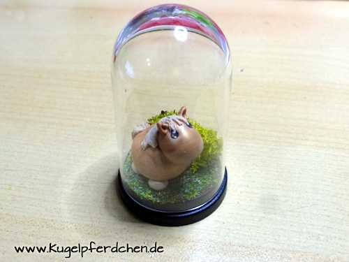 Micro - Kugelpferdchen in Kuppel