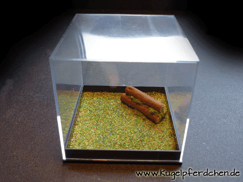 Beispiel für Natursprung-Box klein