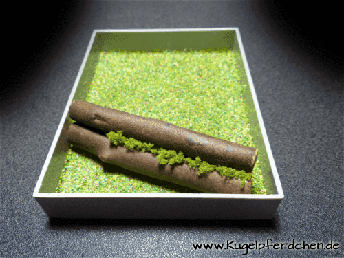 Natursprung-Box mitel mit Baumstamm