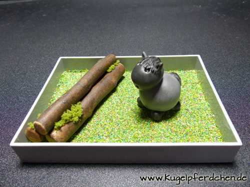 Beispiel für Kugelpferdchen in Natursprung-Box mit Baumstamm