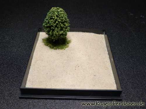 Sandplatz mit Baum - Box