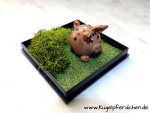 Kugelschwein